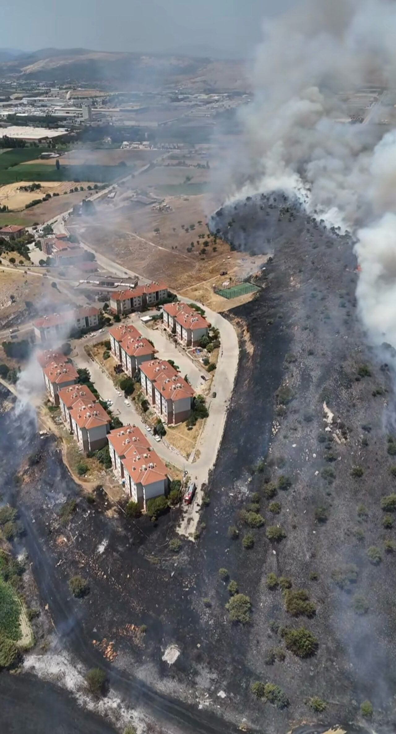 İzmir’in Tire ilçesinde otluk alanda çıkan yangın ekiplerin müdahalesiyle söndürüldü.