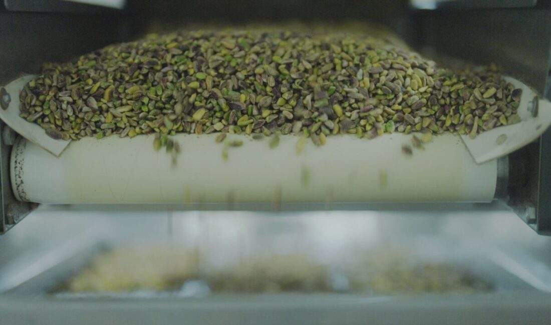 Tiryaki Agro, Gaziantep'teki yeni yatırımıyla katma değerli fıstık ürünlerine odaklanıyor