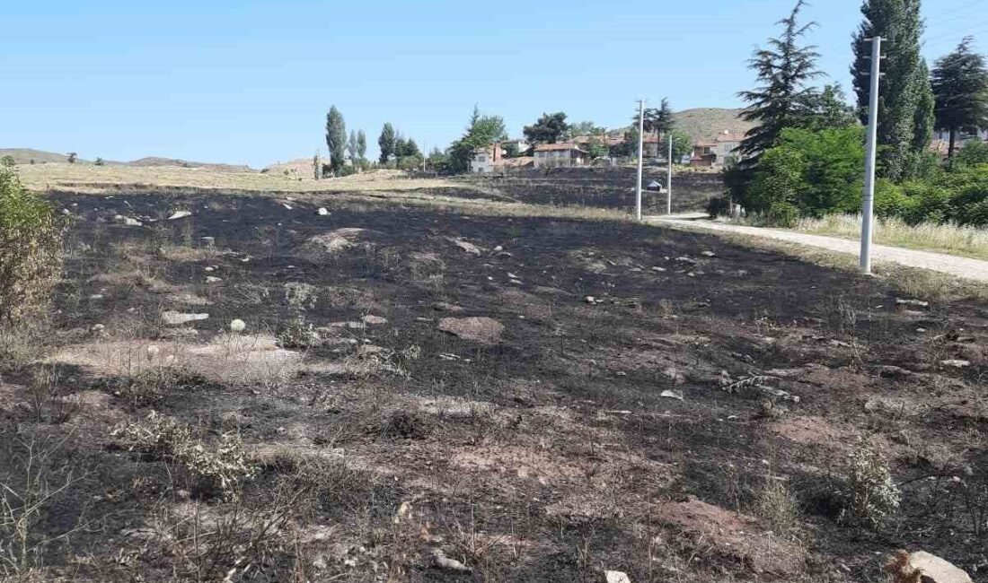 Torpilden çıkan yangında 15 dönümlük arazi kül oldu Eskişehir’de boş araziye atılan torpilin sebep olduğu yangın sonucu 15