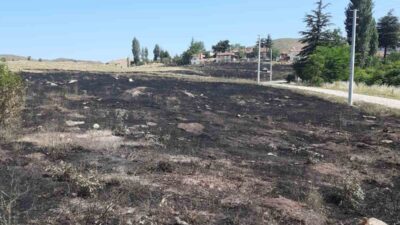 Eskişehir’de boş araziye atılan torpilin sebep olduğu yangın sonucu 15
