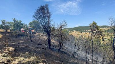 Uşak’ta meşelik alanda çıkan yangın söndürüldü. Merkeze bağlı Ciğerdede köyü