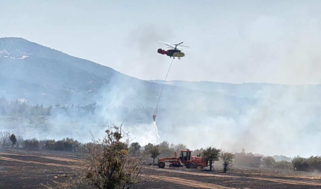  Uşak'ta arpa tarlasında başlayıp makilik alana sıçrayan yangına havadan ve