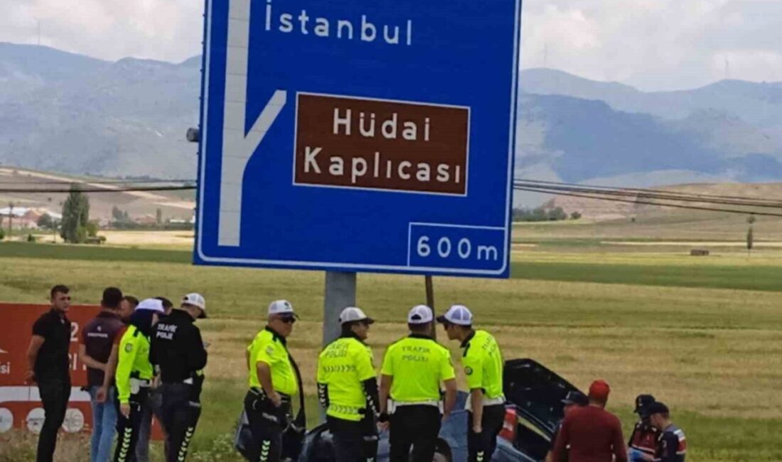 Afyonkarahisar’da kontrolden çıkarak şarampole girip ardından yön tabelasına çarparak durabilen