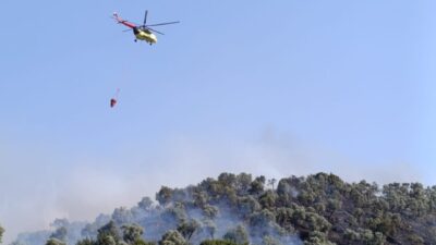 Aydın'ın Koçarlı ilçesinde çıkan yangında zeytin ağaçlarının bulunduğu 30 dekarlık