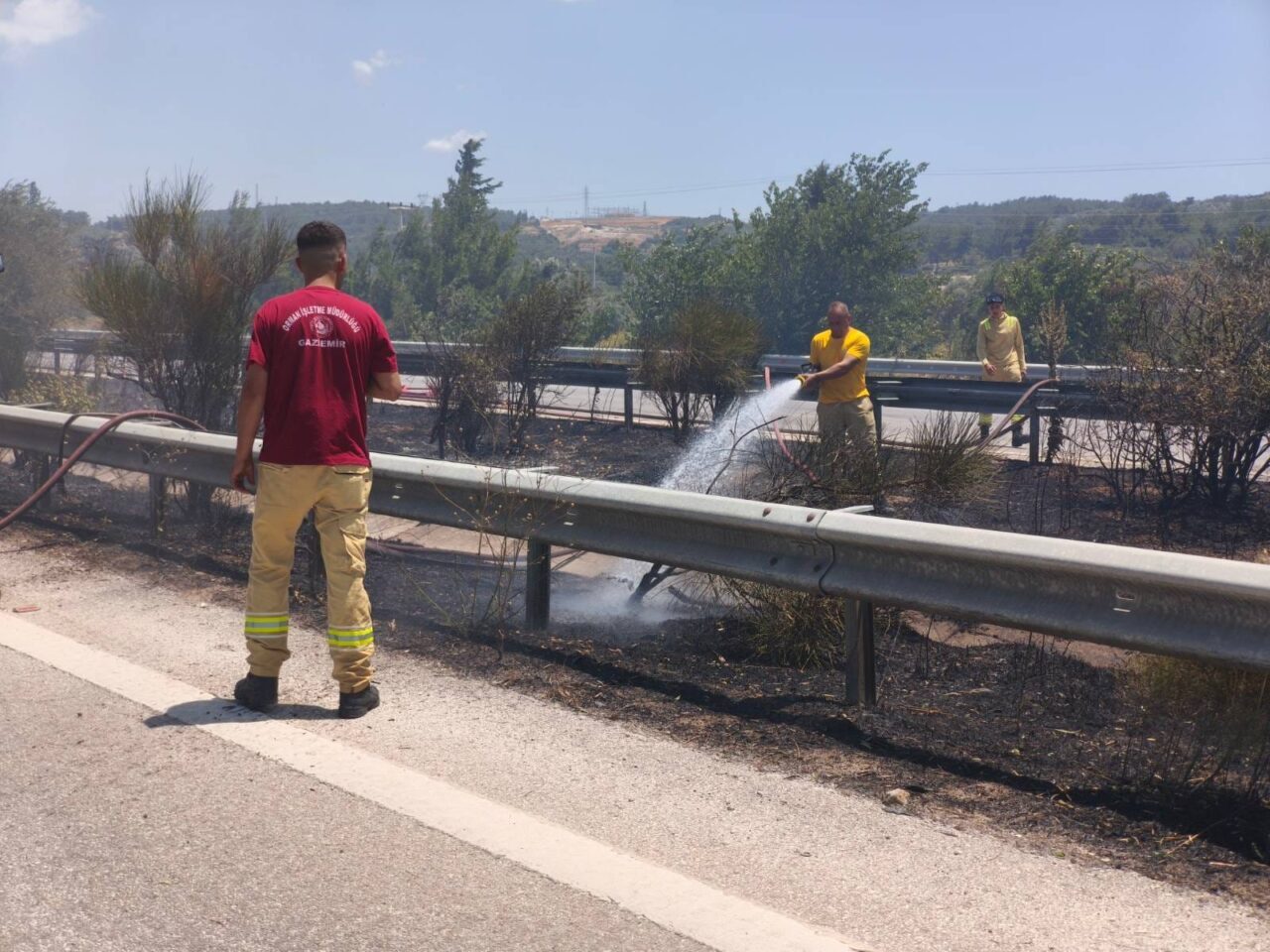 İzmir'in Urla ilçesinde zeytinlik alanda çıkan ve İzmir-Çeşme Otoyolu yakınında