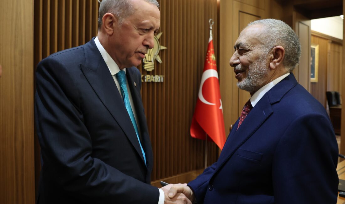 Cumhurbaşkanı Recep Tayyip Erdoğan, Irak Temsilciler Meclisi Başkanı Mahmud Meşhedani'yi