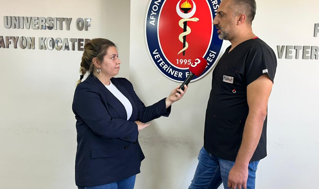Hayvan pazarları kapatıldı, uzmanlardan üreticilere: “Aşısız hayvan kalmasın”