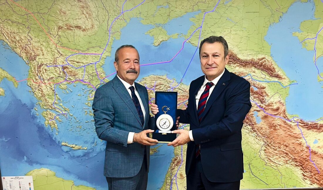 Milliyetçi Hareket Partisi Afyonkarahisar Milletvekili Mehmet Taytak, BOTAŞ Genel Müdürü
