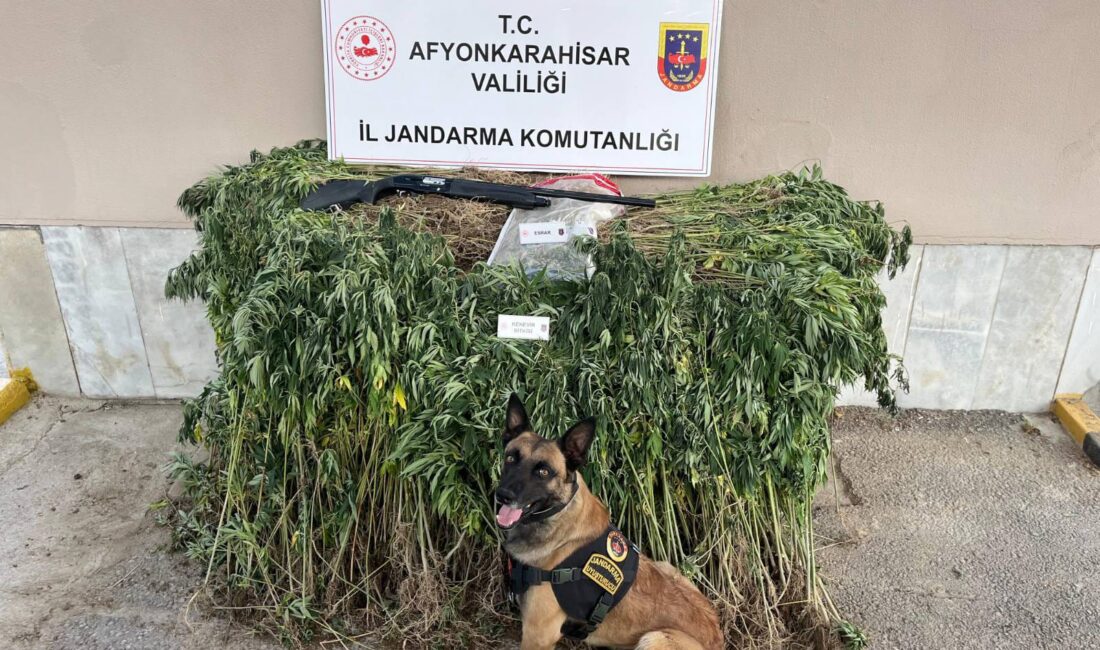 Afyonkarahisar İl Jandarma Komutanlığı, uyuşturucuyla mücadele kapsamında gerçekleştirdiği operasyonlara bir