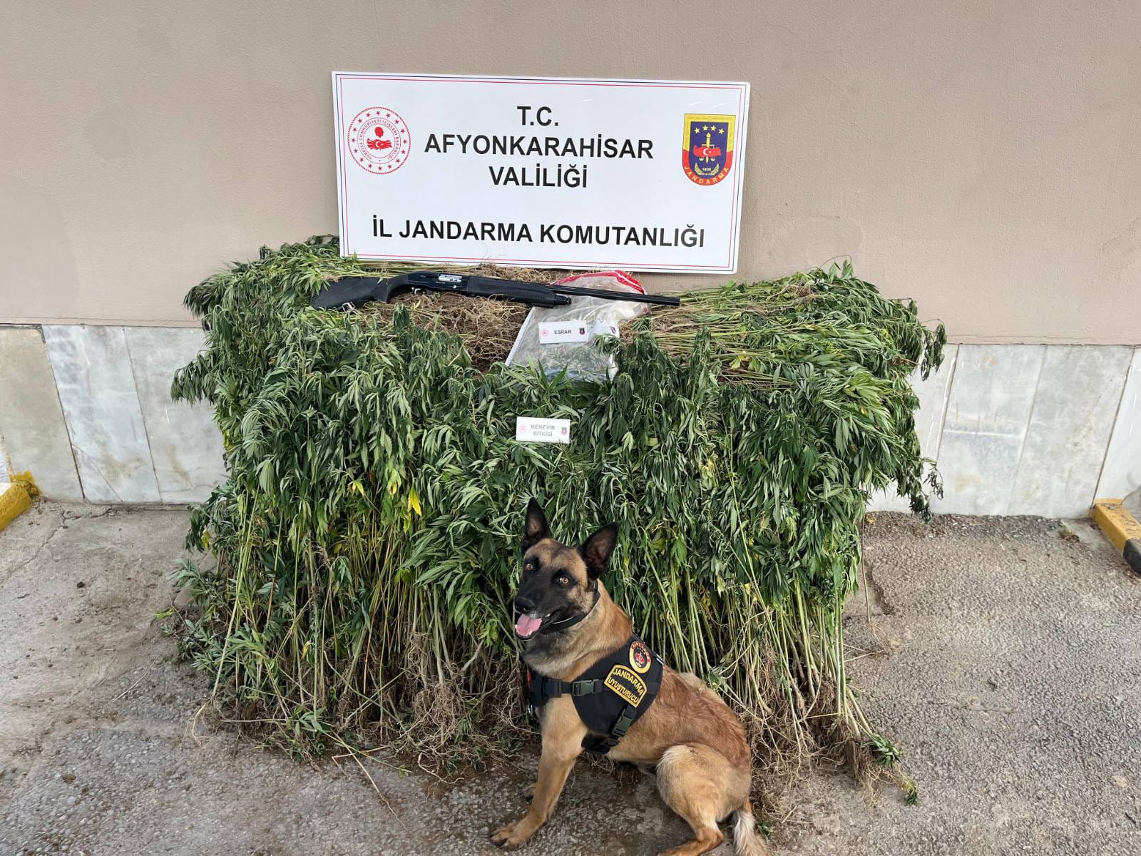 Afyonkarahisar İl Jandarma Komutanlığı, uyuşturucuyla mücadele kapsamında gerçekleştirdiği operasyonlara bir