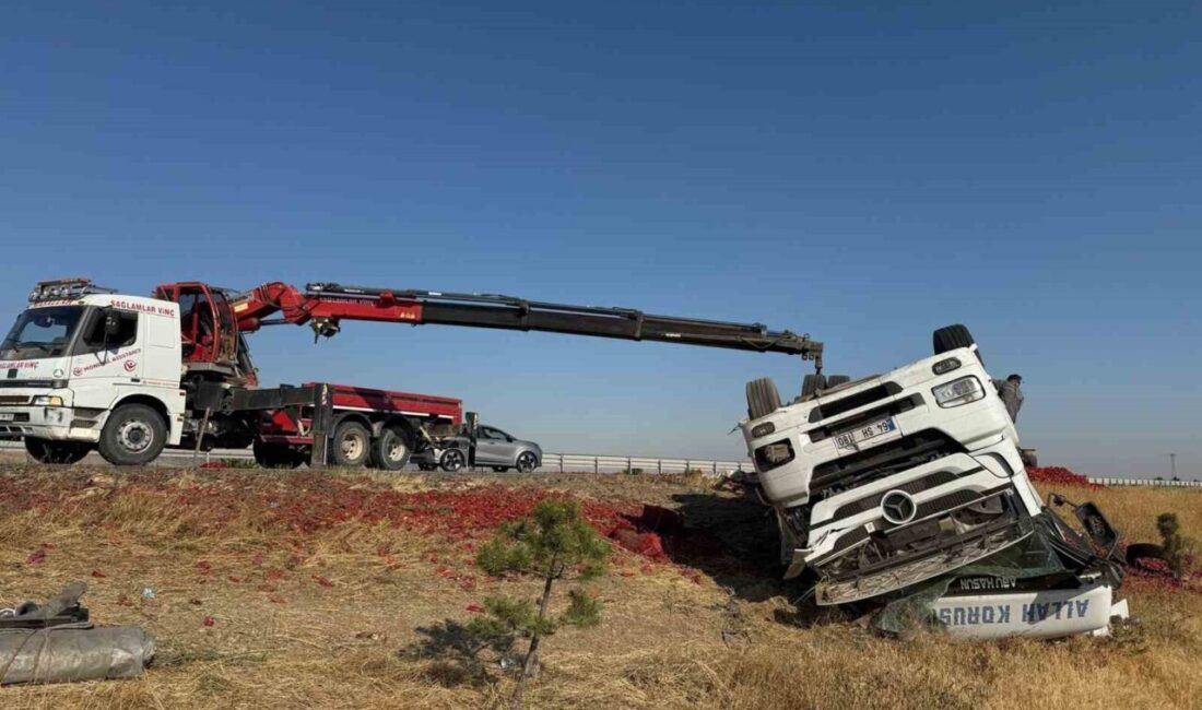Afyonkarahisar’da şarampole devrilen tırda yaklaşık 20 ton salçalık biber çevreye
