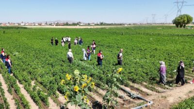 Afyonkarahisar İl Tarım ve Orman Müdürlüğü, geleceğin ziraatçilerine saha deneyimi