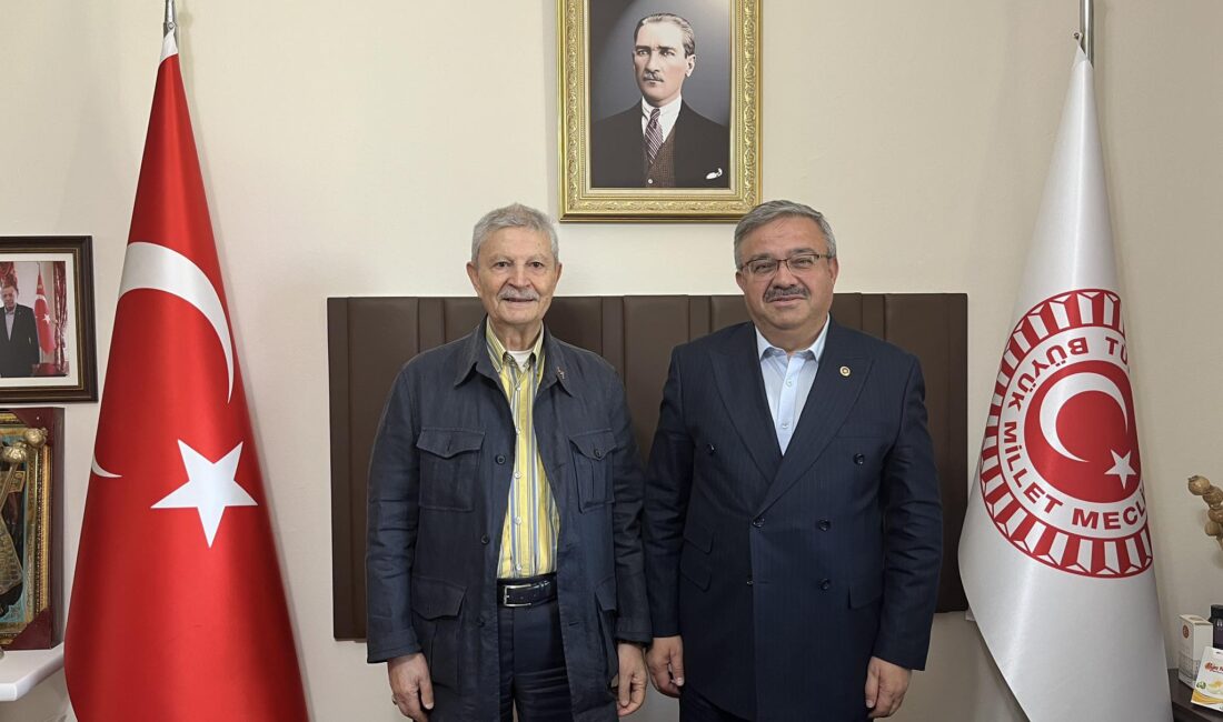 Türkiye Büyük Millet Meclisi (TBMM) Divan Katibi ve AK Parti