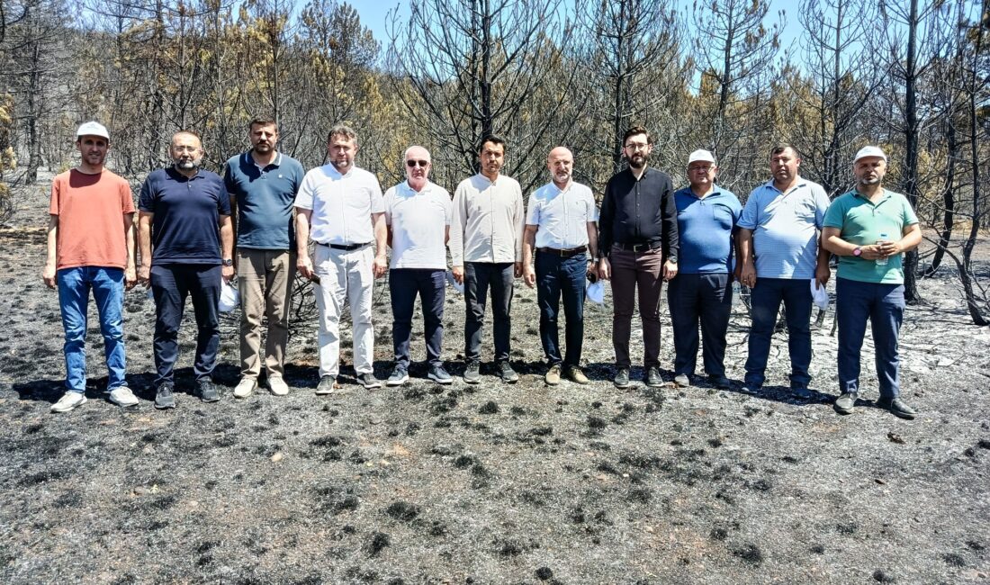 AK Parti Afyonkarahisar İl Başkanı Turgay Şahin, Sarıcaova kırsalı ve