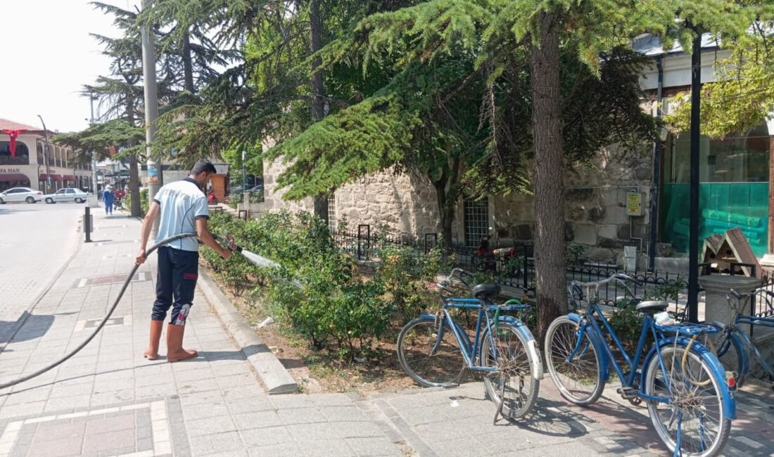 Bolvadin Belediyesi, yaz mevsiminin etkisini artırdığı bu günlerde ilçe genelindeki