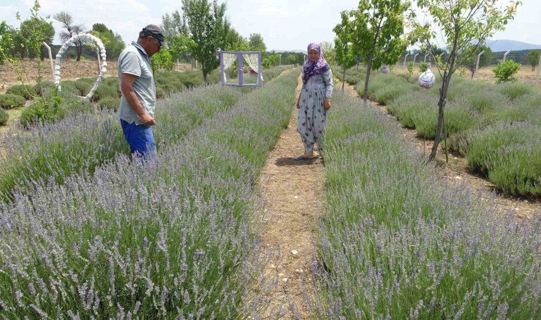 Kütahya’nın Aloğlu köyünde yaşayan İsmail ve Emine Daşgın çifti, hobi