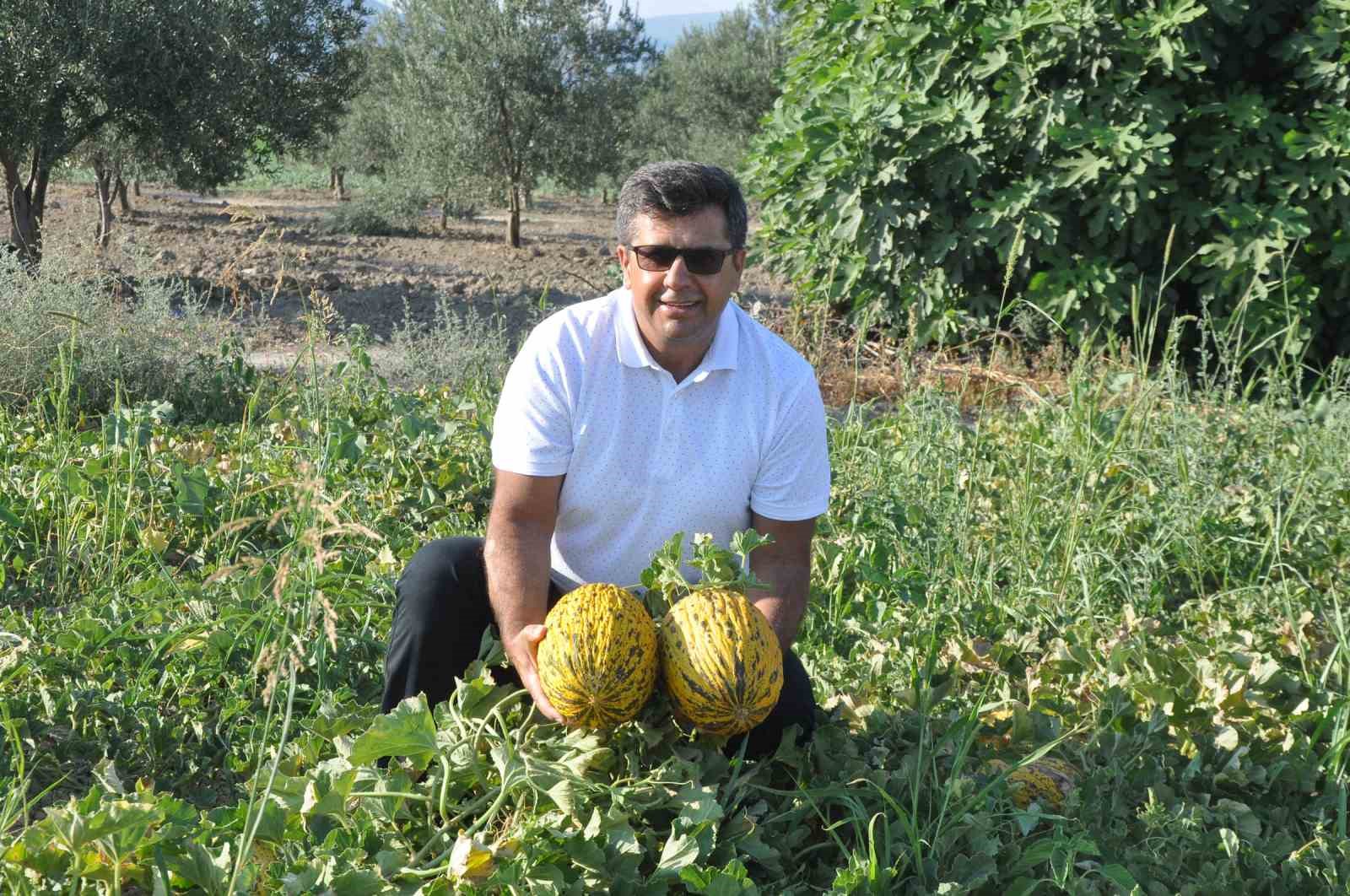Manisa’nın Kırkağaç ilçesinin dünyaca ünlü kavunu AB’den tescil alan 38.