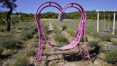 Yunusemre Belediyesinin Ortaköy Mahallesi’nde 7 bin metrekare alan üzerinde hayata