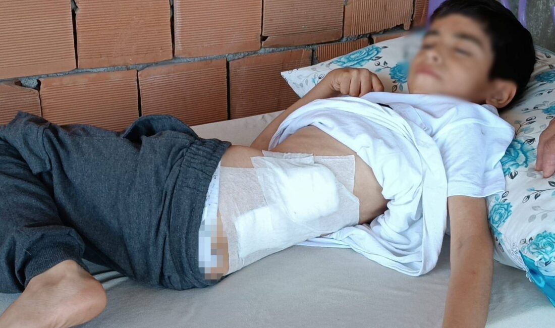 Batman'da, evinin bahçesinde oyun oynamakta olan 8 yaşındaki bir çocuk,