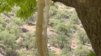 Hakkari'nin Yüksekova ilçesinde doğa gözlemleri yapan öğretmen Ümit Bartın, Türkiye'nin