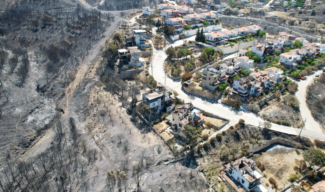 İzmir'in Seferihisar ve Menderes ilçelerinde 29 Haziran'da başlayarak geniş bir