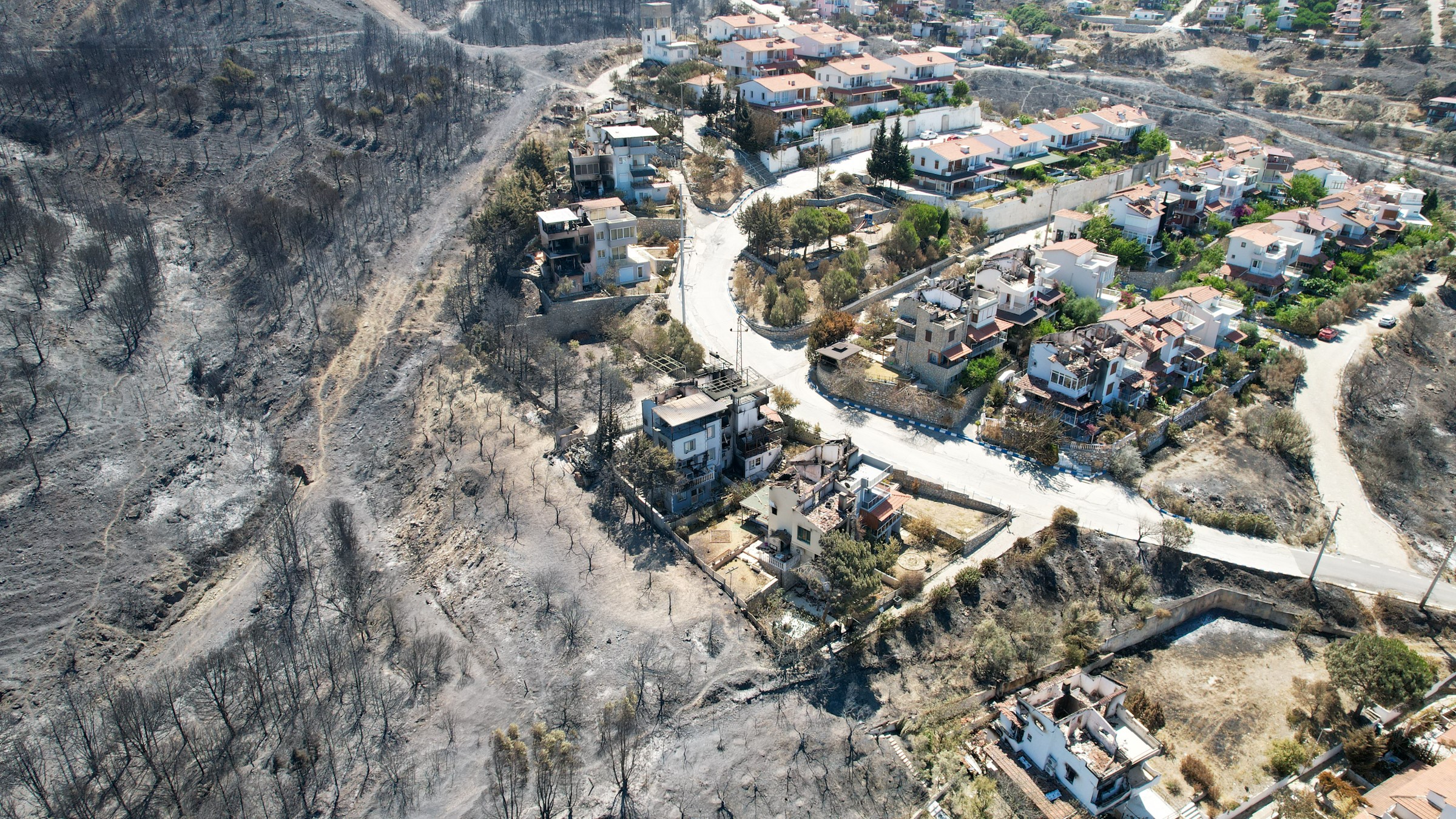 İzmir'in Seferihisar ve Menderes ilçelerinde 29 Haziran'da başlayarak geniş bir