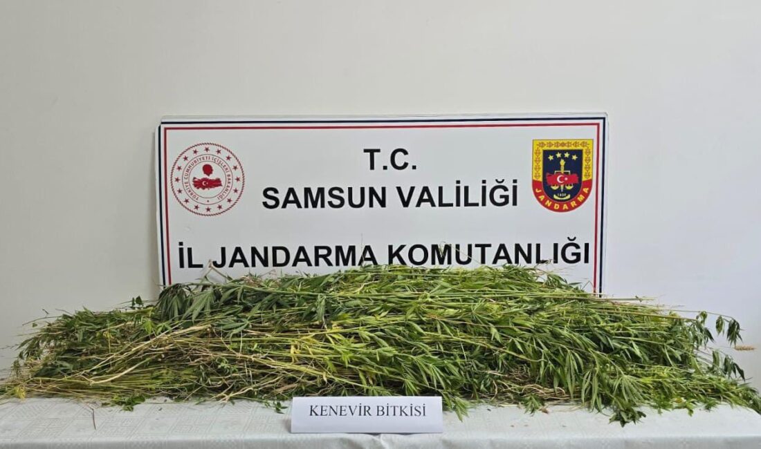 Samsun'un Havza ilçesinde, jandarma ekipleri tarafından yürütülen kapsamlı bir çalışma
