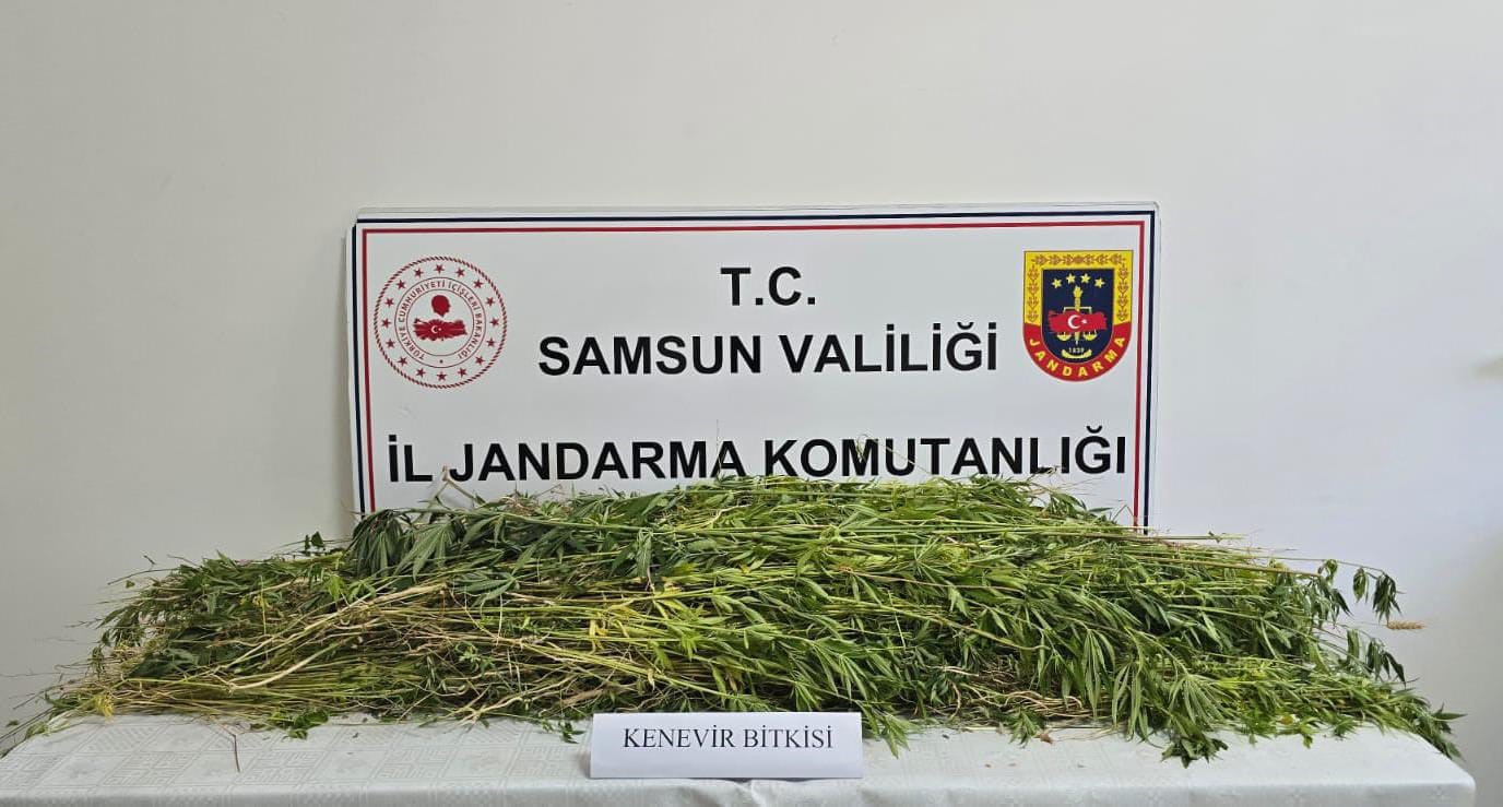 Samsun'un Havza ilçesinde, jandarma ekipleri tarafından yürütülen kapsamlı bir çalışma
