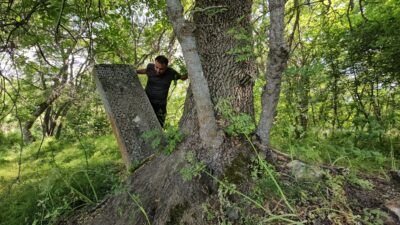  Bitlis'in Tatvan ilçesine bağlı Tokaçlı köyünde bulunan tarihi mezarlar, büyüyen