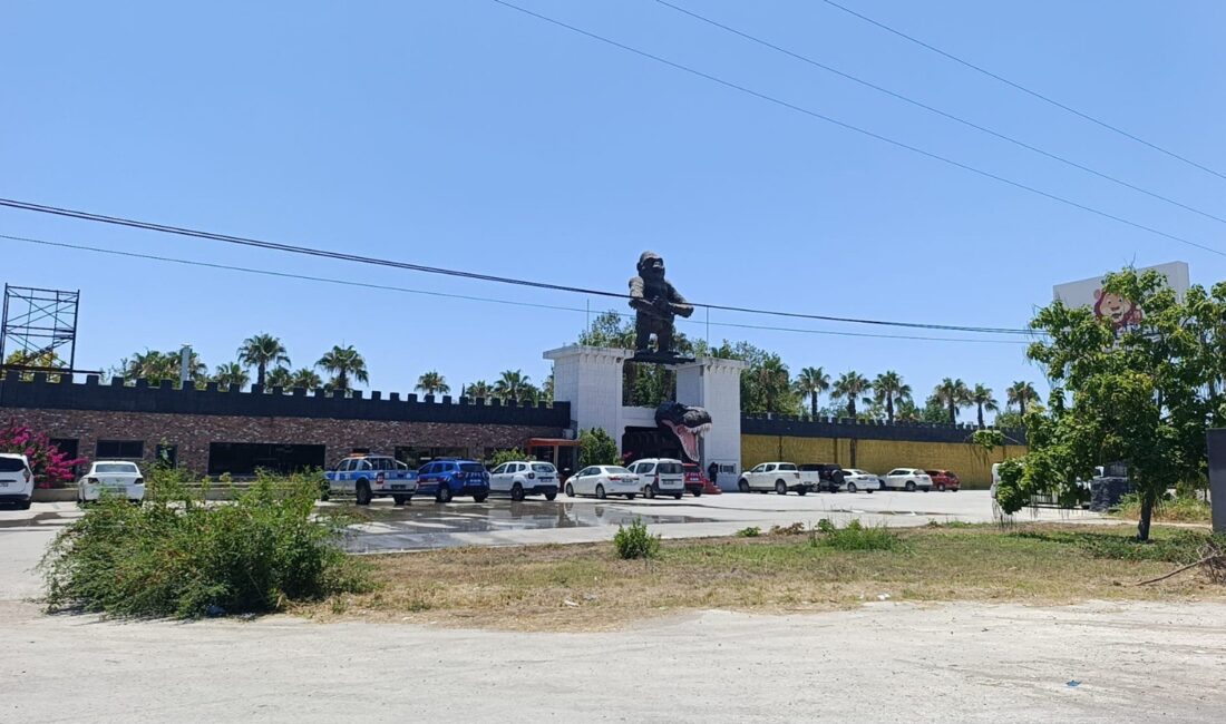 Antalya'nın Manavgat ilçesinde bir hayvanat bahçesinden kaçan aslan, bir vatandaşı