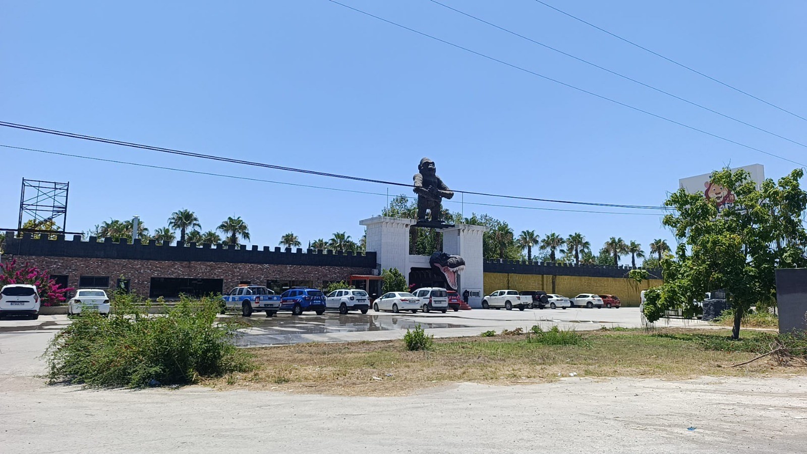 Antalya'nın Manavgat ilçesinde bir hayvanat bahçesinden kaçan aslan, bir vatandaşı