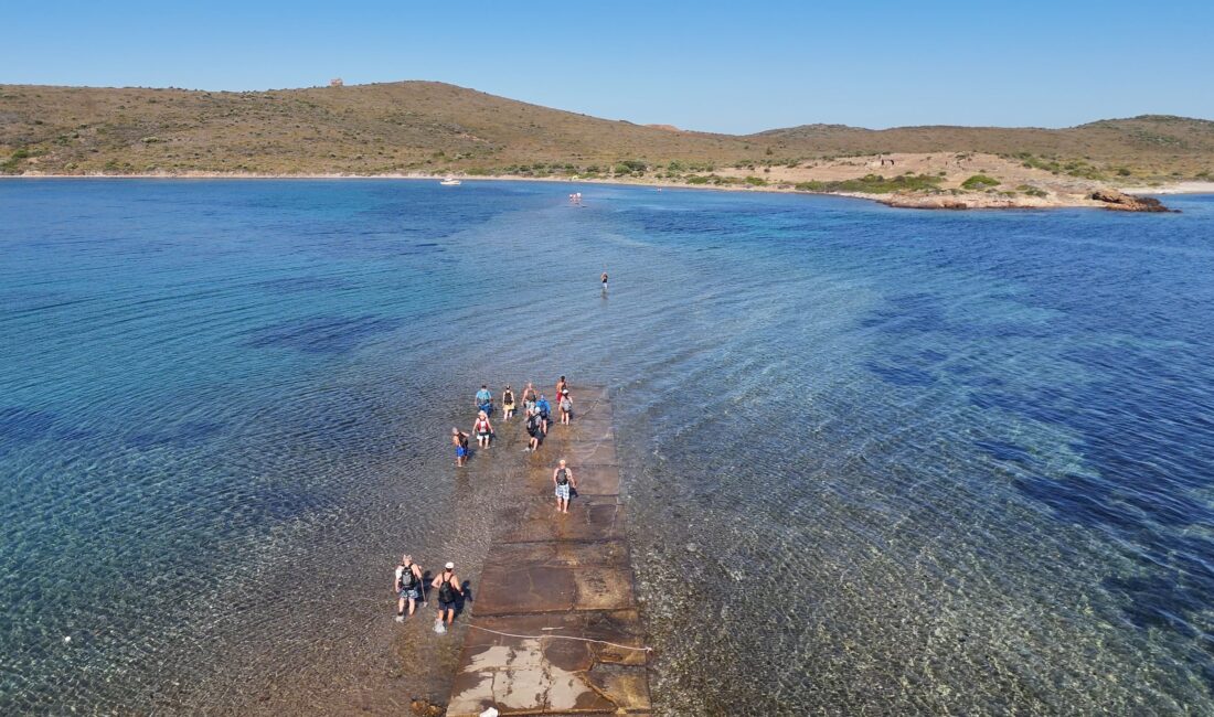 Balıkesir'in Ayvalık ilçesinde bir araya gelen doğa tutkunları, Türkiye'de ender