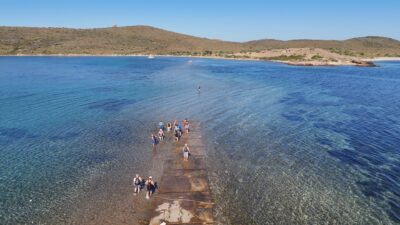 Balıkesir'in Ayvalık ilçesinde bir araya gelen doğa tutkunları, Türkiye'de ender