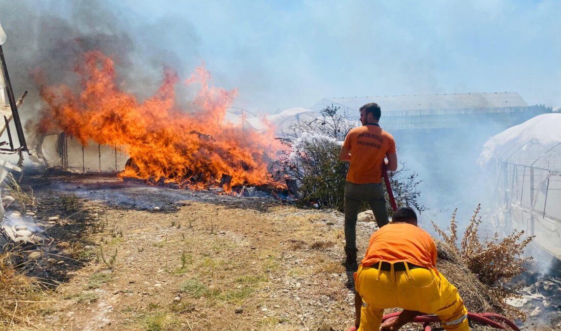Antalya'nın Serik ilçesinde, çalılık bir arazide henüz belirlenemeyen bir nedenle