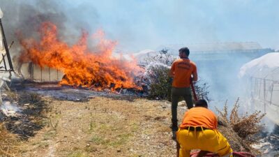 Antalya'nın Serik ilçesinde, çalılık bir arazide henüz belirlenemeyen bir nedenle