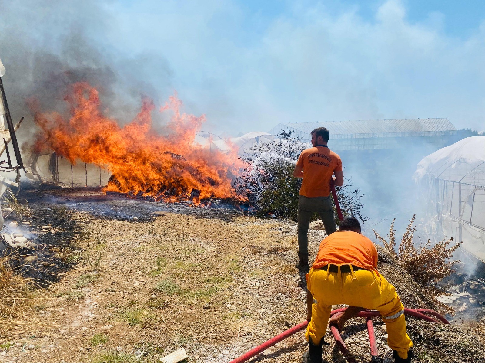 Antalya'nın Serik ilçesinde, çalılık bir arazide henüz belirlenemeyen bir nedenle