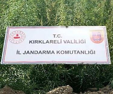 Kırklareli'nin Pınarhisar ilçesinde, jandarma ekiplerinin düzenlediği başarılı bir operasyonla tarım
