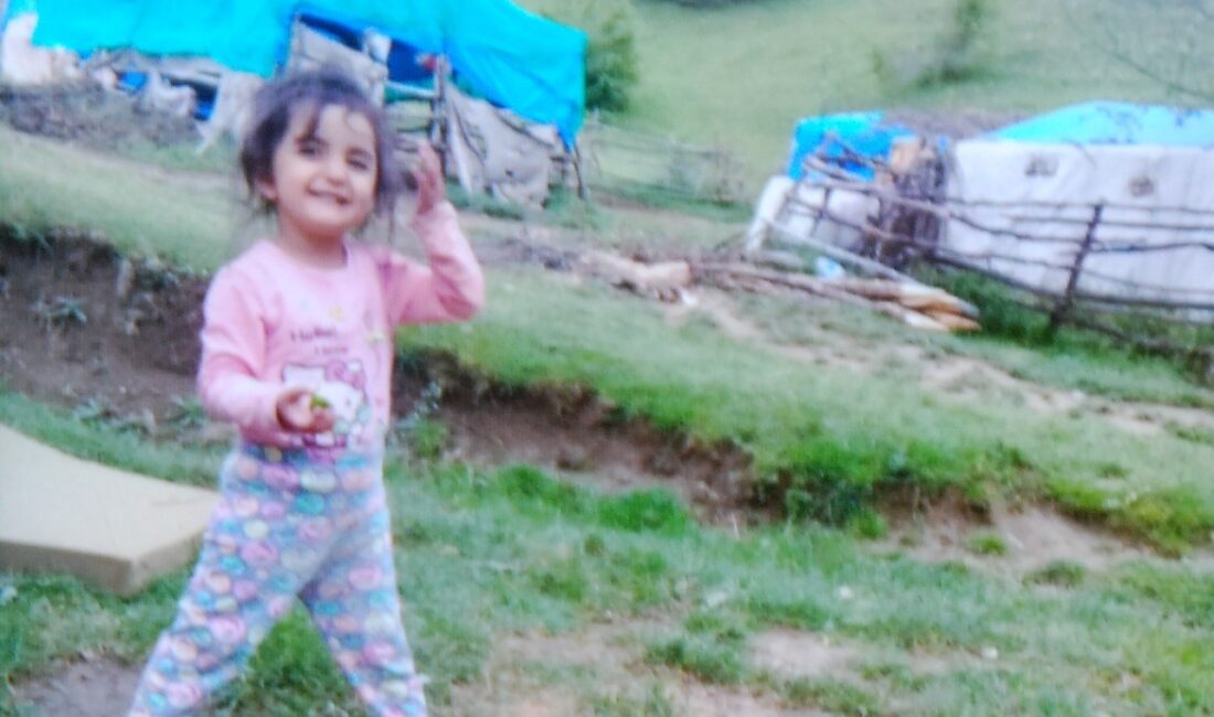 Tokat'ın Turhal ilçesinde 7 yıl önce yaylada oyun oynarken kaybolan