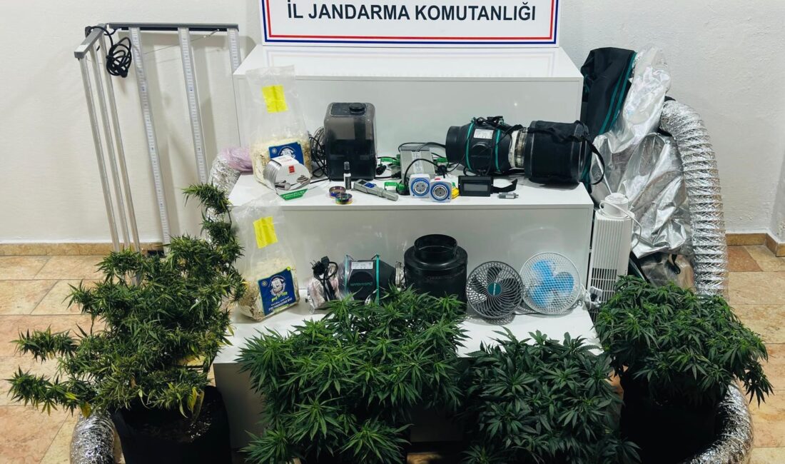 Karaman'da bir eve düzenlenen operasyonda, salona kurulan kamp çadırı içerisinde