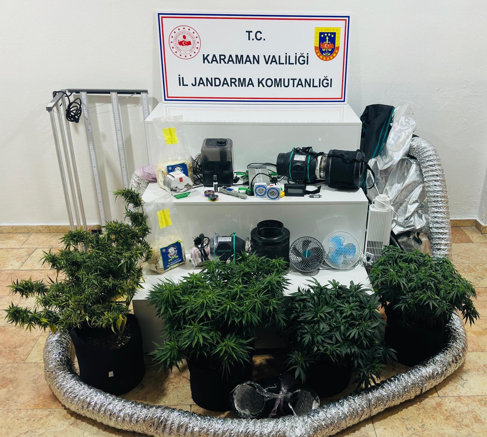 Karaman'da bir eve düzenlenen operasyonda, salona kurulan kamp çadırı içerisinde