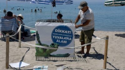 Aydın'ın Kuşadası ilçesinde, nesli tükenme tehlikesi altında olan caretta caretta