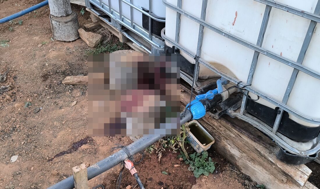 Kırşehir'e bağlı Özbağ Kasabası'nın Kışlapınar Mahallesi'nde meydana gelen trajik olayda,
