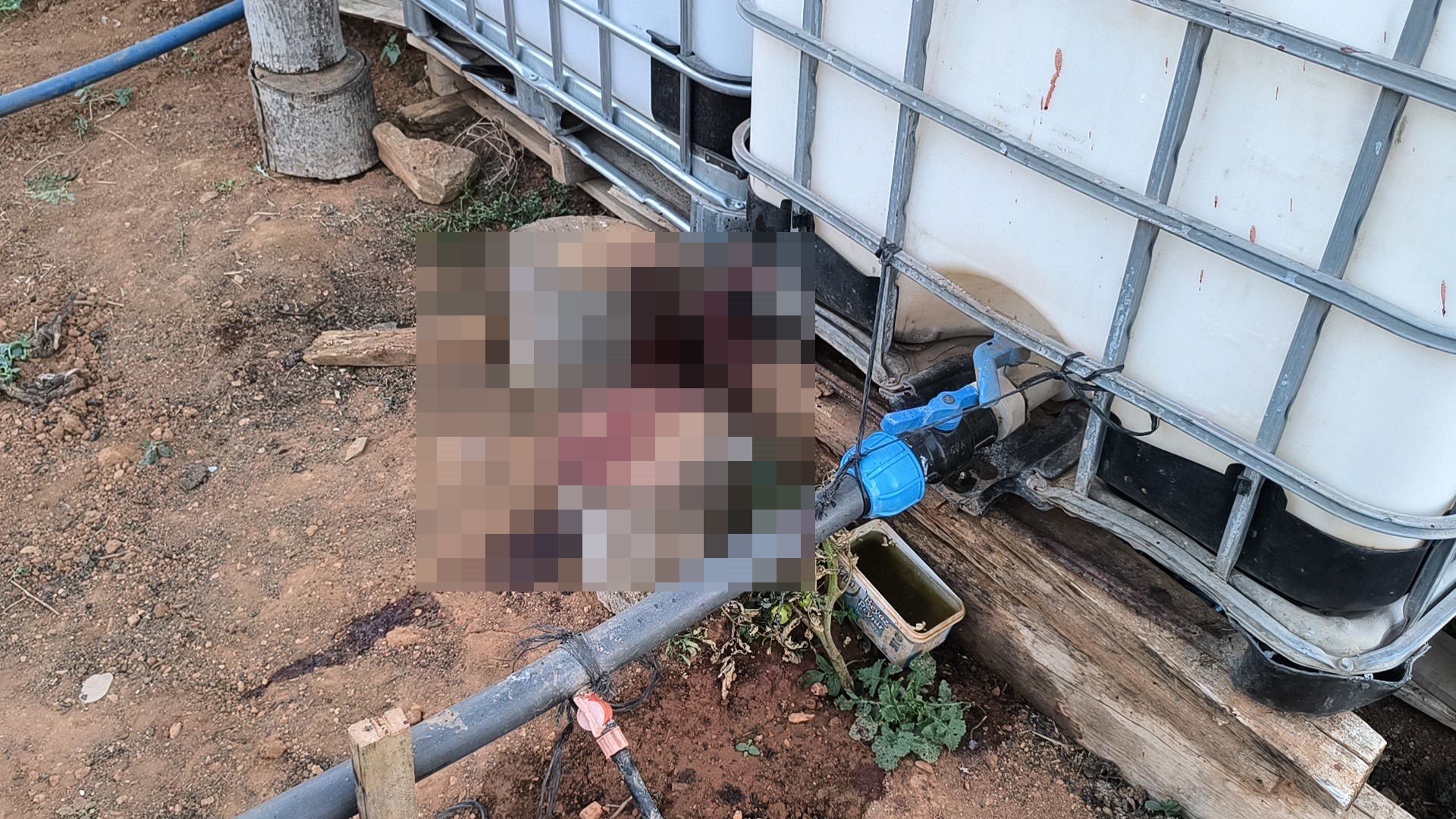Kırşehir'e bağlı Özbağ Kasabası'nın Kışlapınar Mahallesi'nde meydana gelen trajik olayda,