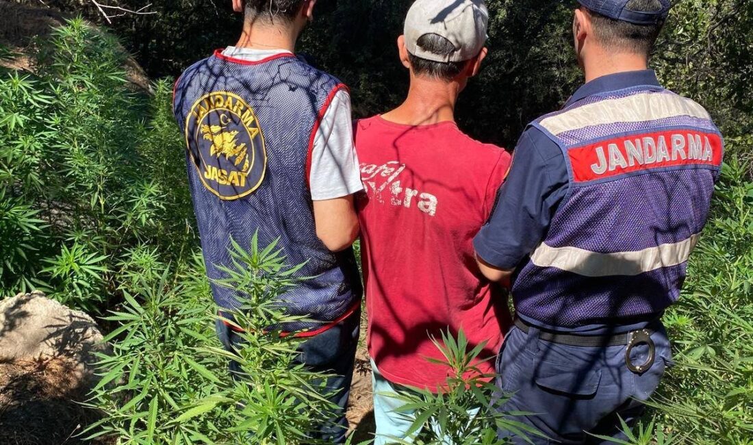 Aydın İl Jandarma Komutanlığı tarafından yürütülen narkotik operasyonları neticesinde, uyuşturucu