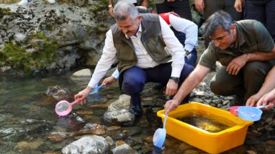 Artvin'de, biyolojik çeşitliliğin korunması ve doğal alabalık popülasyonlarının desteklenmesi amacıyla