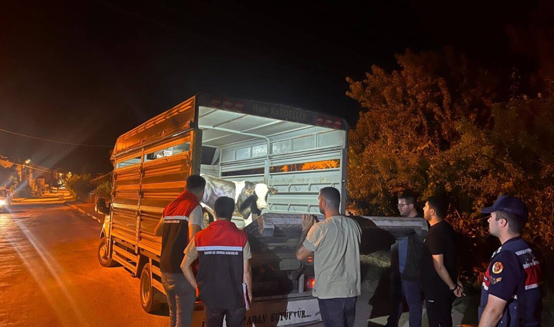 Yozgat'ın Çayıralan ilçesinde, şap hastalığına karşı alınan önlemlere uymayarak izinsiz