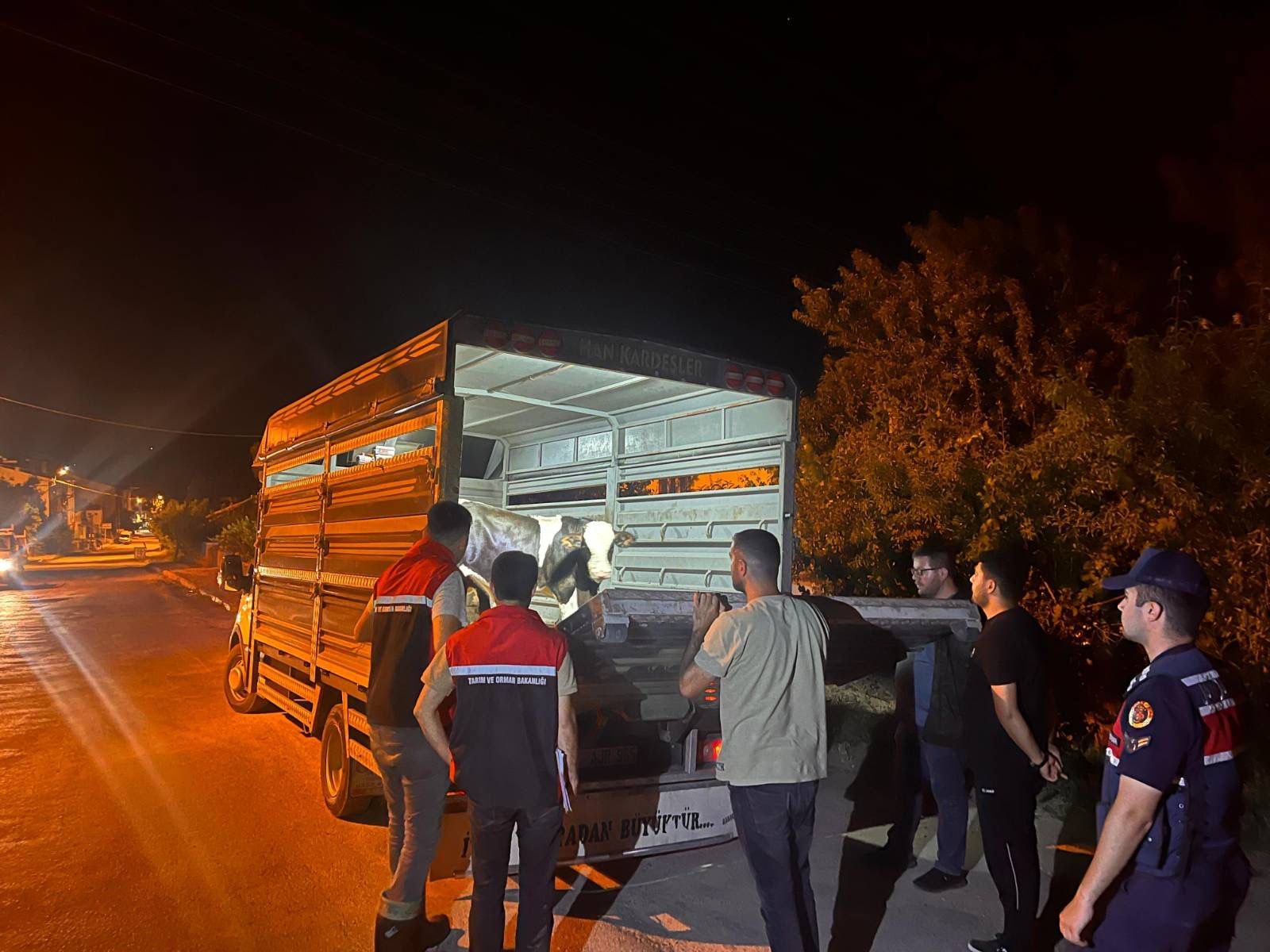 Yozgat'ın Çayıralan ilçesinde, şap hastalığına karşı alınan önlemlere uymayarak izinsiz
