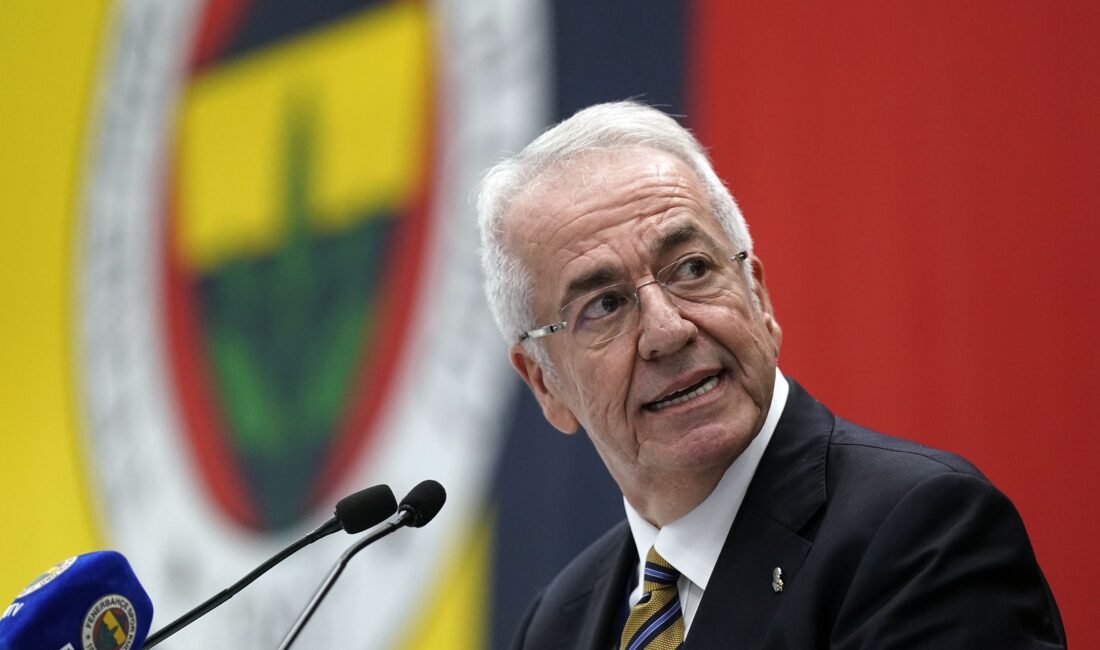 İstanbul merkezli Fenerbahçe Spor Kulübü'nde Başkan Vekili olarak görev yapan