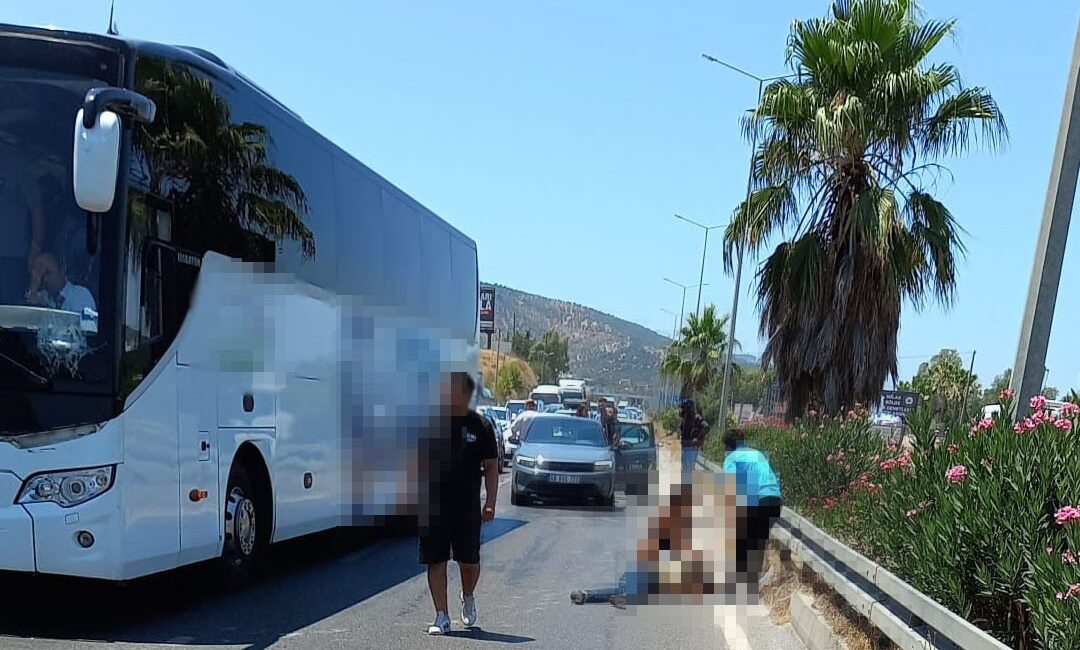 Muğla'nın Milas ilçesinde, şehirlerarası otoyolda yolun karşısına geçmeye çalışan bir