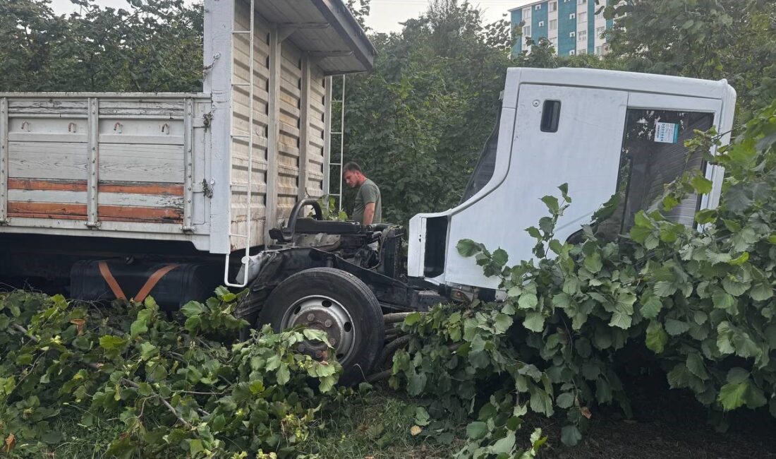 Zonguldak'ın Alaplı ilçesinde kupası çıkınca kontrolden çıkan kamyonet, fındık bahçesine